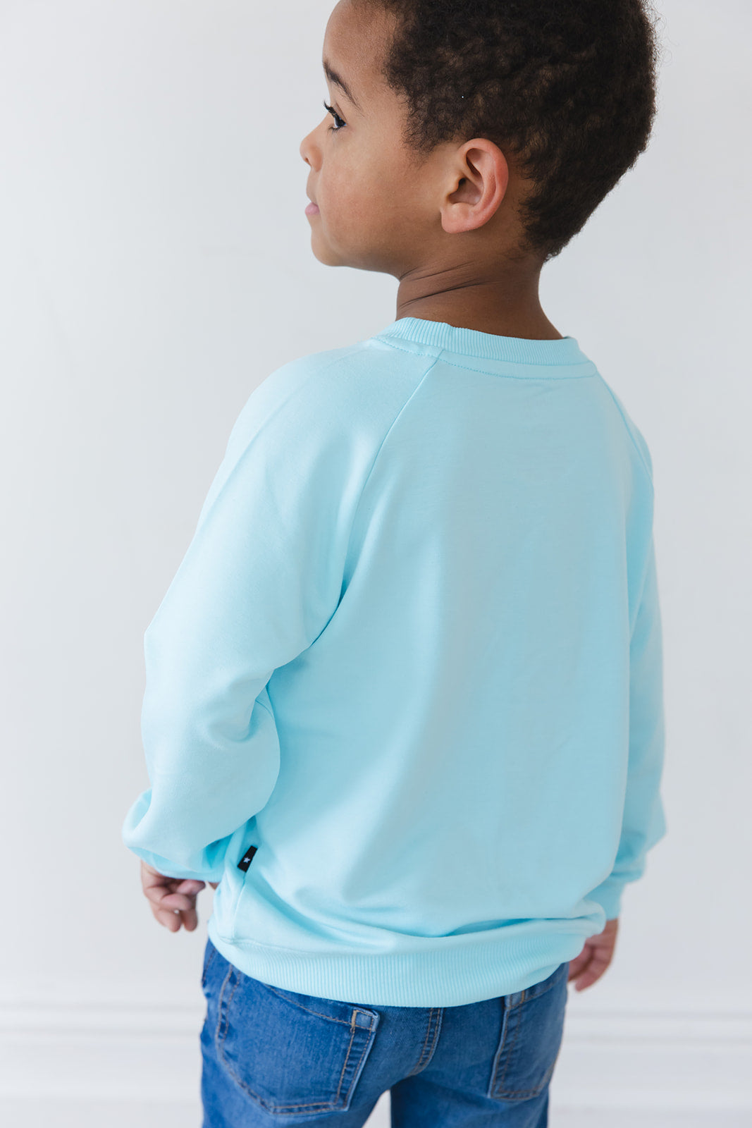 (SOLID) Magical Mashup - Bamboo Terry Sweatshirt Blush Lotus