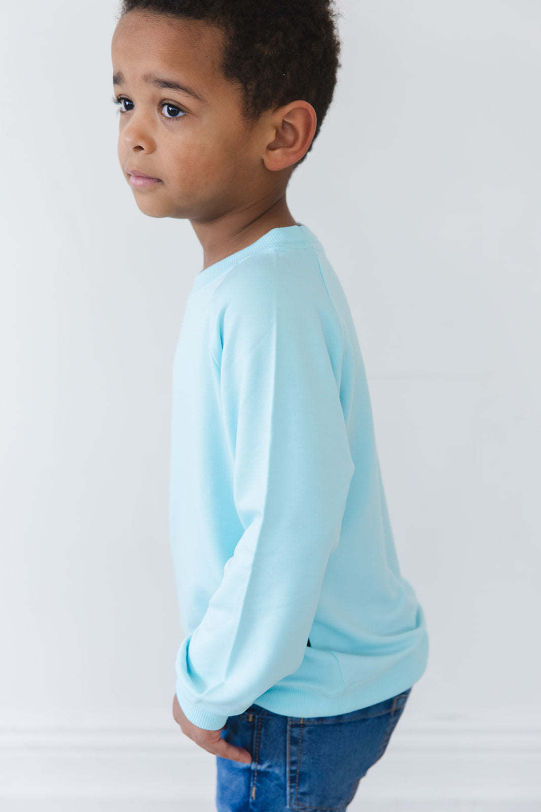 (SOLID) Magical Mashup - Bamboo Terry Sweatshirt Blush Lotus