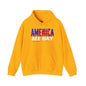 America All Day Hooded Sweatshirt The Devil's Pickle