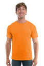 Cotton Perfection Crew 3100 - dark Colors SpectraUSA