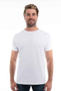 Cotton Perfection Crew 3100 - dark Colors SpectraUSA