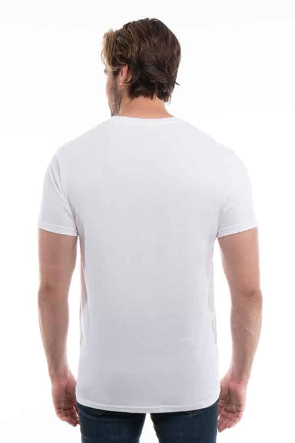 Cotton Perfection Crew 3100 - dark Colors SpectraUSA