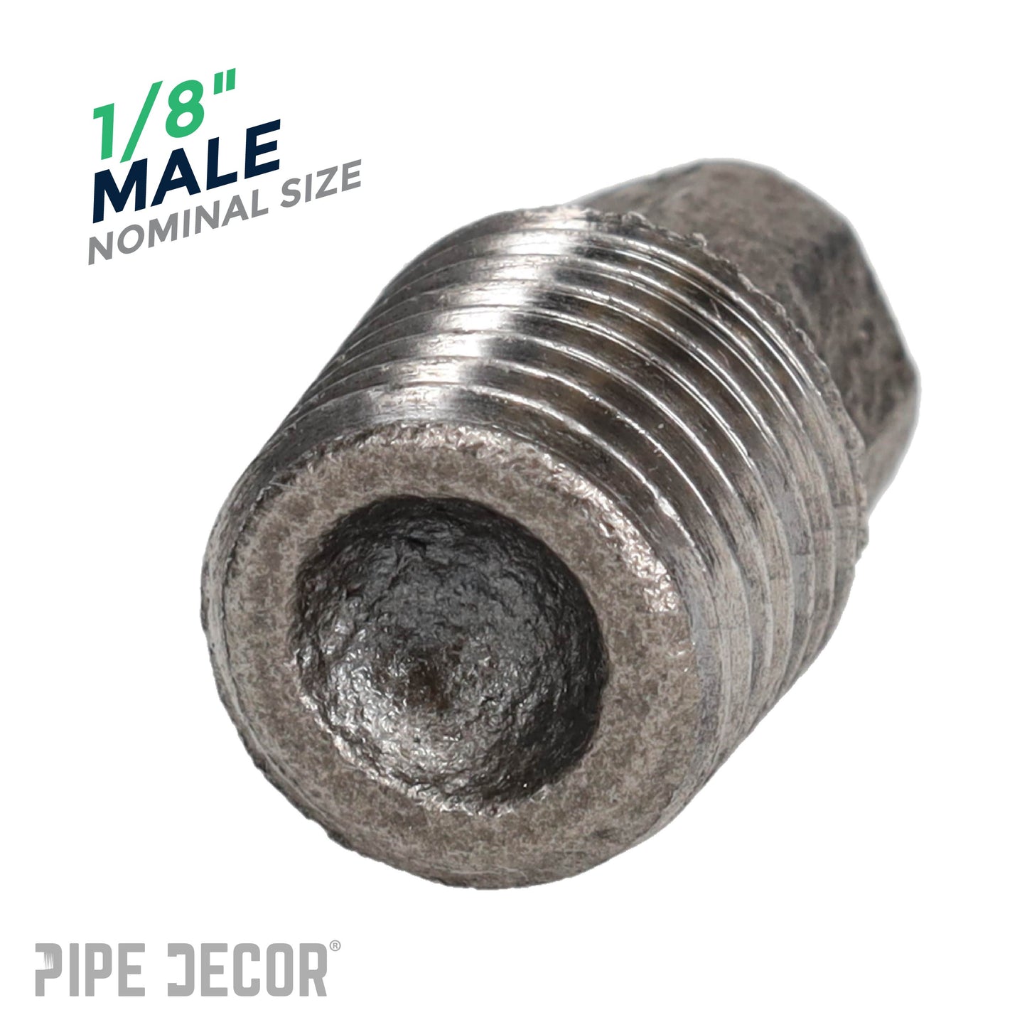 1/8 in. Black Plug PIPE DECOR