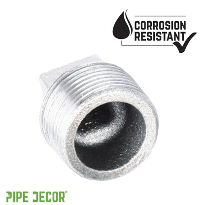 1/4 in. Galvanized Iron Plug PIPE DECOR