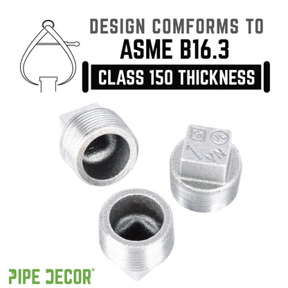 1 in. Galvanized Iron Plug PIPE DECOR