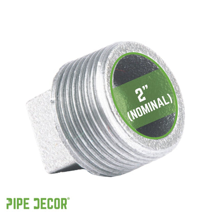 2 in. Galvanized Iron Plug PIPE DECOR