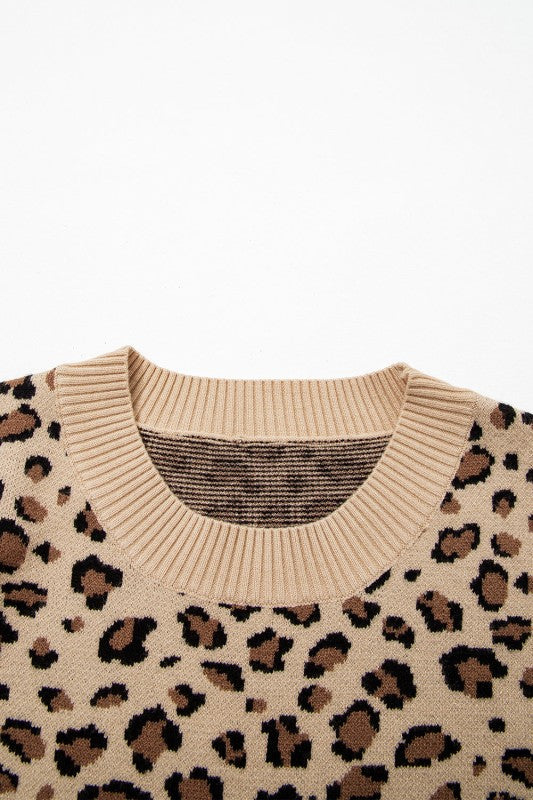 Leopard Contrast Trim Dolman Sleeve Sweater Shop Style & More | Fresh Looks, Everyday Deals & Free Shipping