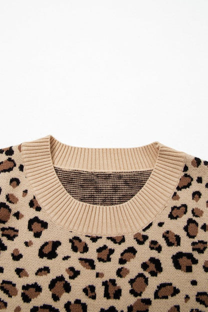 Leopard Contrast Trim Dolman Sleeve Sweater Shop Style & More | Fresh Looks, Everyday Deals & Free Shipping