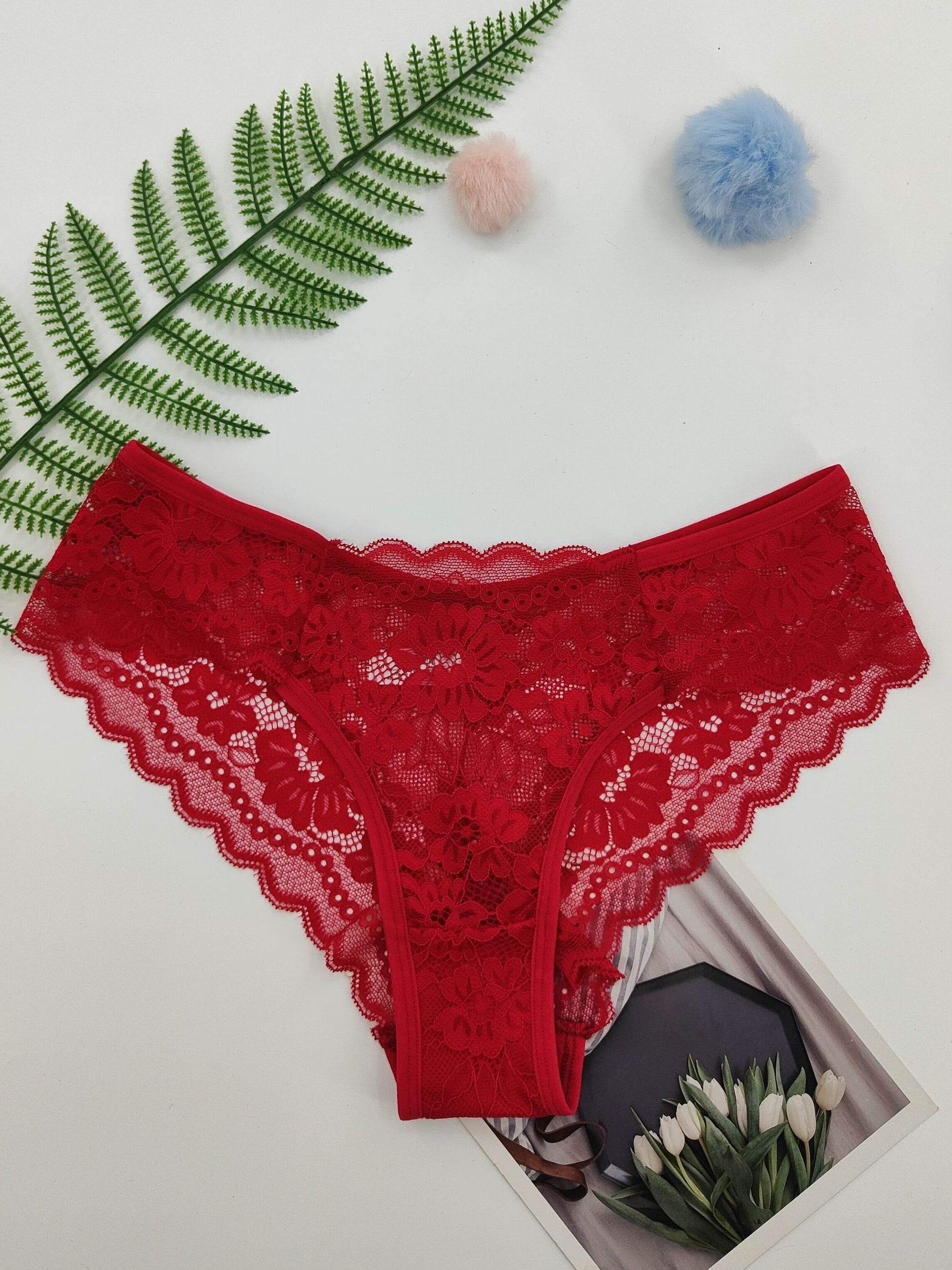 4 Pcs Women's Elegant Sheer Jacquard Lace Bikini Panties, Mid Stretch Low Waist Panties, Women's Lingerie & Underwear NovaCart