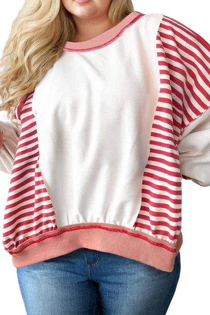 Red Stripe Color Block Patchwork Seam Detail Plus Size Sweatshirt Garden Naked Curves