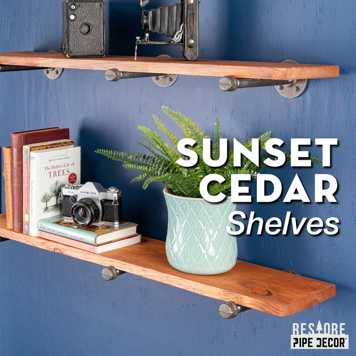 RESTORE Sunset Cedar 36 in. Shelves with Straight Brackets PIPE DECOR