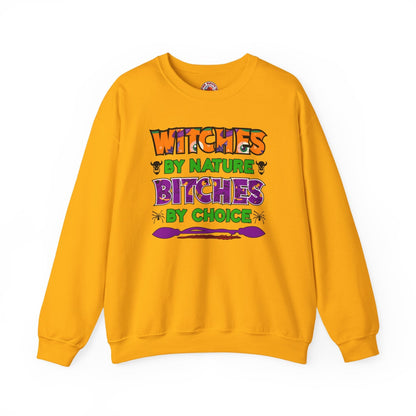 Witches By Nature Bitches By Choice Crewneck Sweatshirt The Devil's Pickle