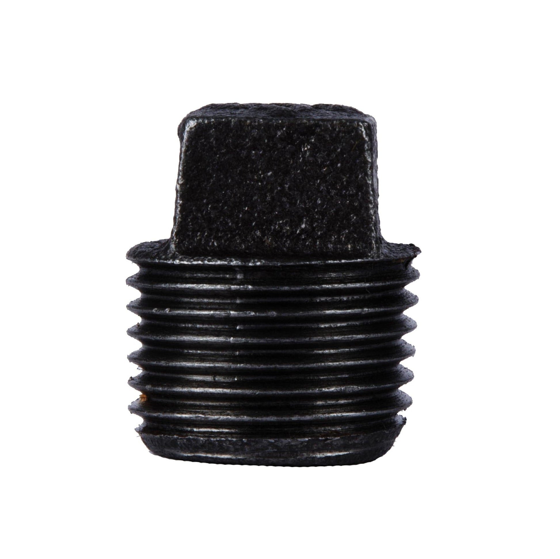 1/2 in. Prefinished Matte Black Plug PIPE DECOR