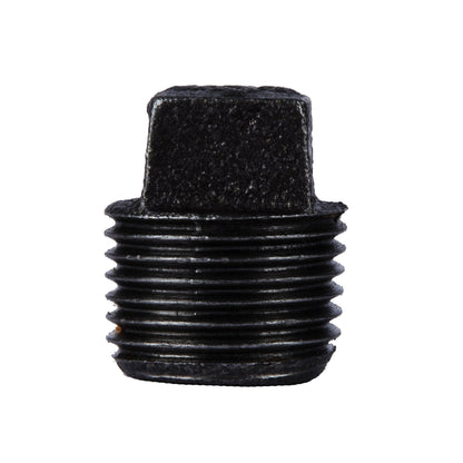 1/2 in. Prefinished Matte Black Plug PIPE DECOR