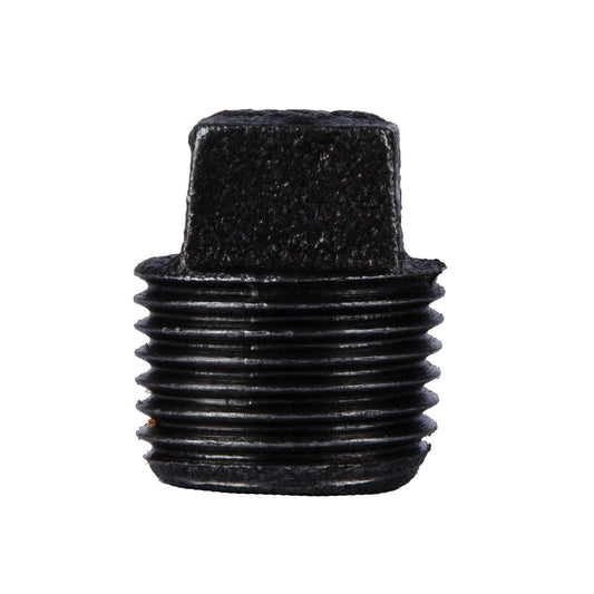 1/2 in. Prefinished Matte Black Plug PIPE DECOR