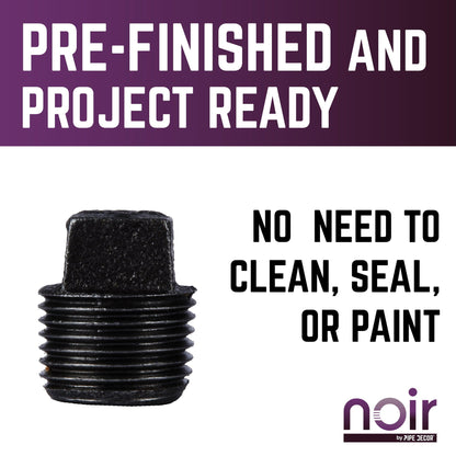 1/2 in. Prefinished Matte Black Plug PIPE DECOR