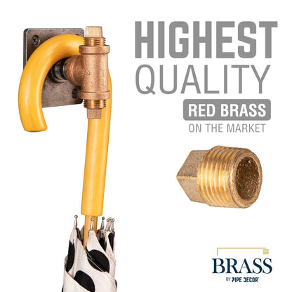 1/2 in. Red Brass Plug PIPE DECOR