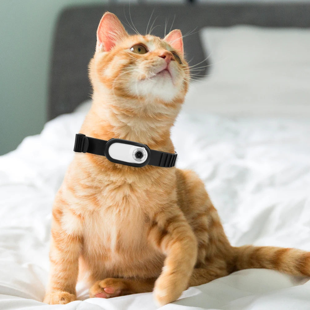 Camera Collar for Cats & Dogs ViralGalleria.com