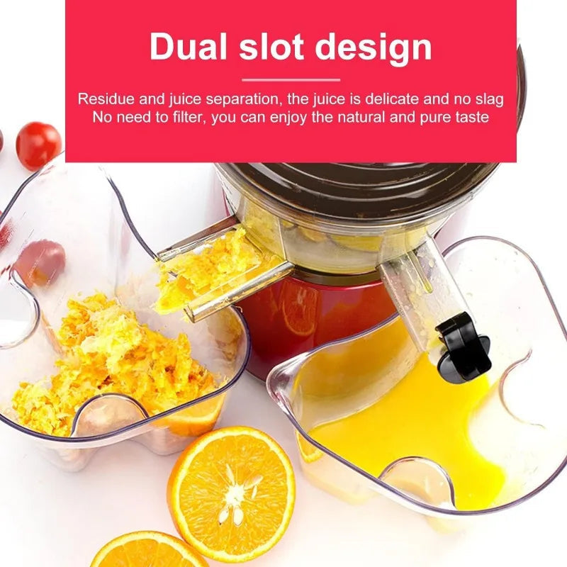 Masticating Juicer Machine ViralGalleria.com