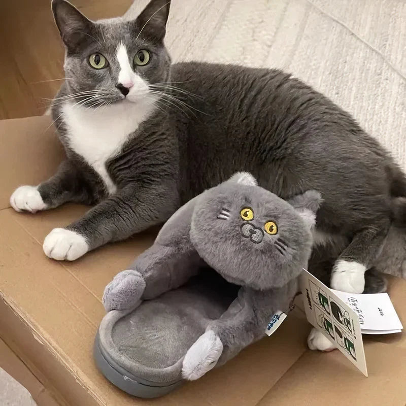 Cat Slippers ViralGalleria.com