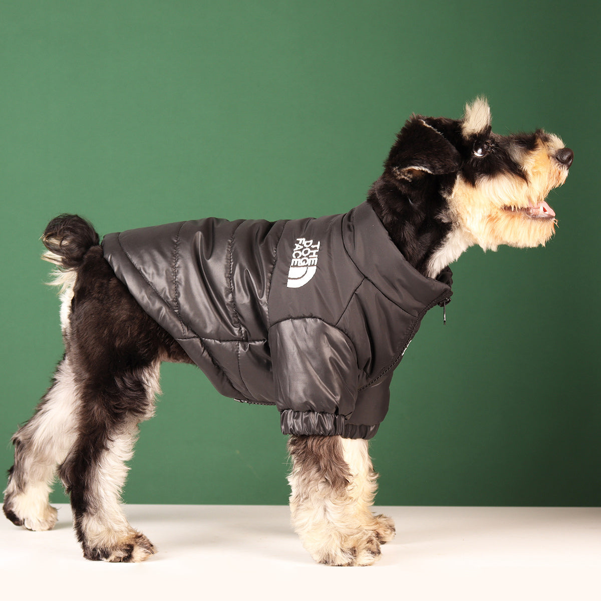 Windproof Dog Jacket The Dog Face ViralGalleria.com