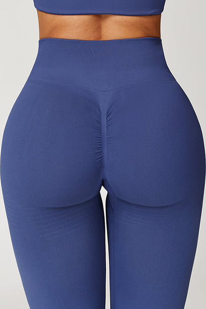 The Delight Jacket Sports Bra Leggings 3-Piece Set Fitglutes Activewear Gymwear Sportswear & Workout Clothes