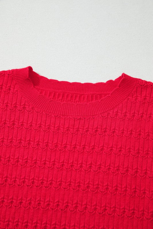 Solid Knit Ribbed Cuff Crewneck Sweater Shop Style & More | Fresh Looks, Everyday Deals & Free Shipping