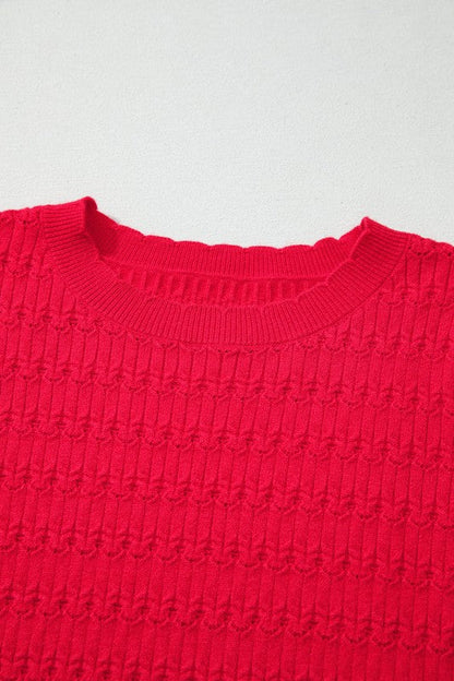 Solid Knit Ribbed Cuff Crewneck Sweater Shop Style & More | Fresh Looks, Everyday Deals & Free Shipping