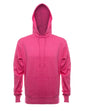 Hoodie French Terry 4020 SpectraUSA