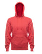 Hoodie French Terry 4020 SpectraUSA