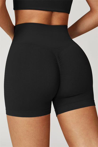 The Delight Jacket Shorts 2-Piece Set Fitglutes Activewear Gymwear Sportswear & Workout Clothes