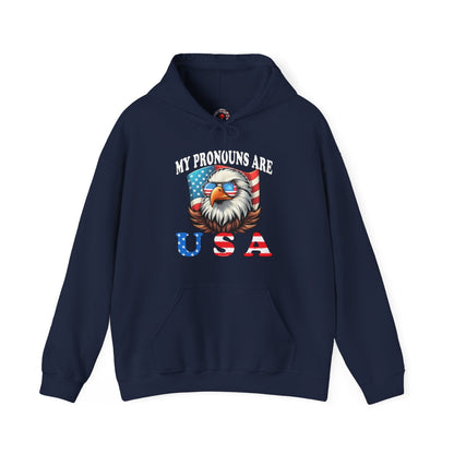 My Pronouns Are U.S.A Hooded Sweatshirt The Devil's Pickle