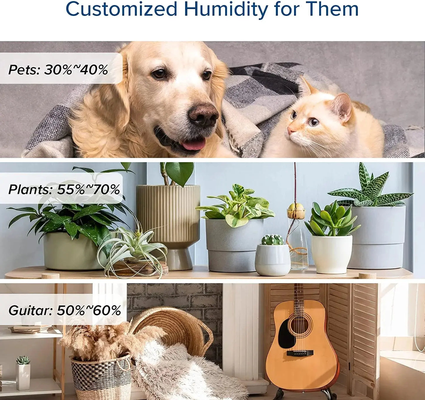 Transform Your Space with the 6L Ultrasonic Cool Mist Humidifier - Perfect for Large Rooms and Ultimate Comfort
