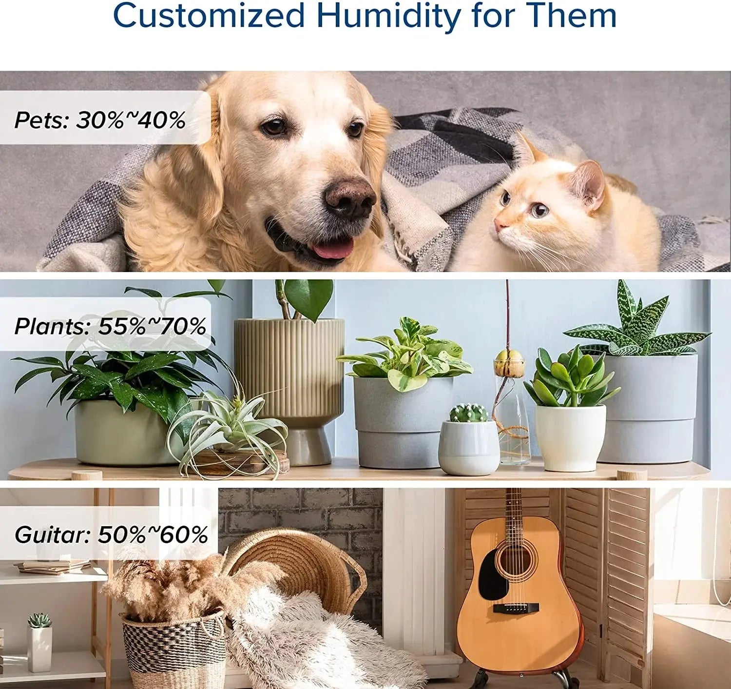 Transform Your Space with the 6L Ultrasonic Cool Mist Humidifier - Perfect for Large Rooms and Ultimate Comfort