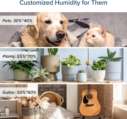 Transform Your Space with the 6L Ultrasonic Cool Mist Humidifier - Perfect for Large Rooms and Ultimate Comfort