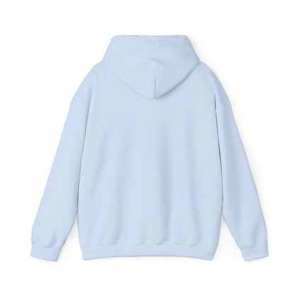 Butterfly Graphic Unisex Hoodie, Cozy Sweatshirt for Nature Lovers, Perfect Gift for Her, Birthday, Casual Wear, Spring Fashion Grayceful LLC