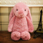 Embroidered Bunny Doll Plush Toy Long Eared Bunny Baby Sleeping with Big Eared Bunny Doll