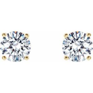 14K Yellow 3/4 CTW Natural Diamond Cocktail-Style Earrings Ethereal Legacy Boutiques