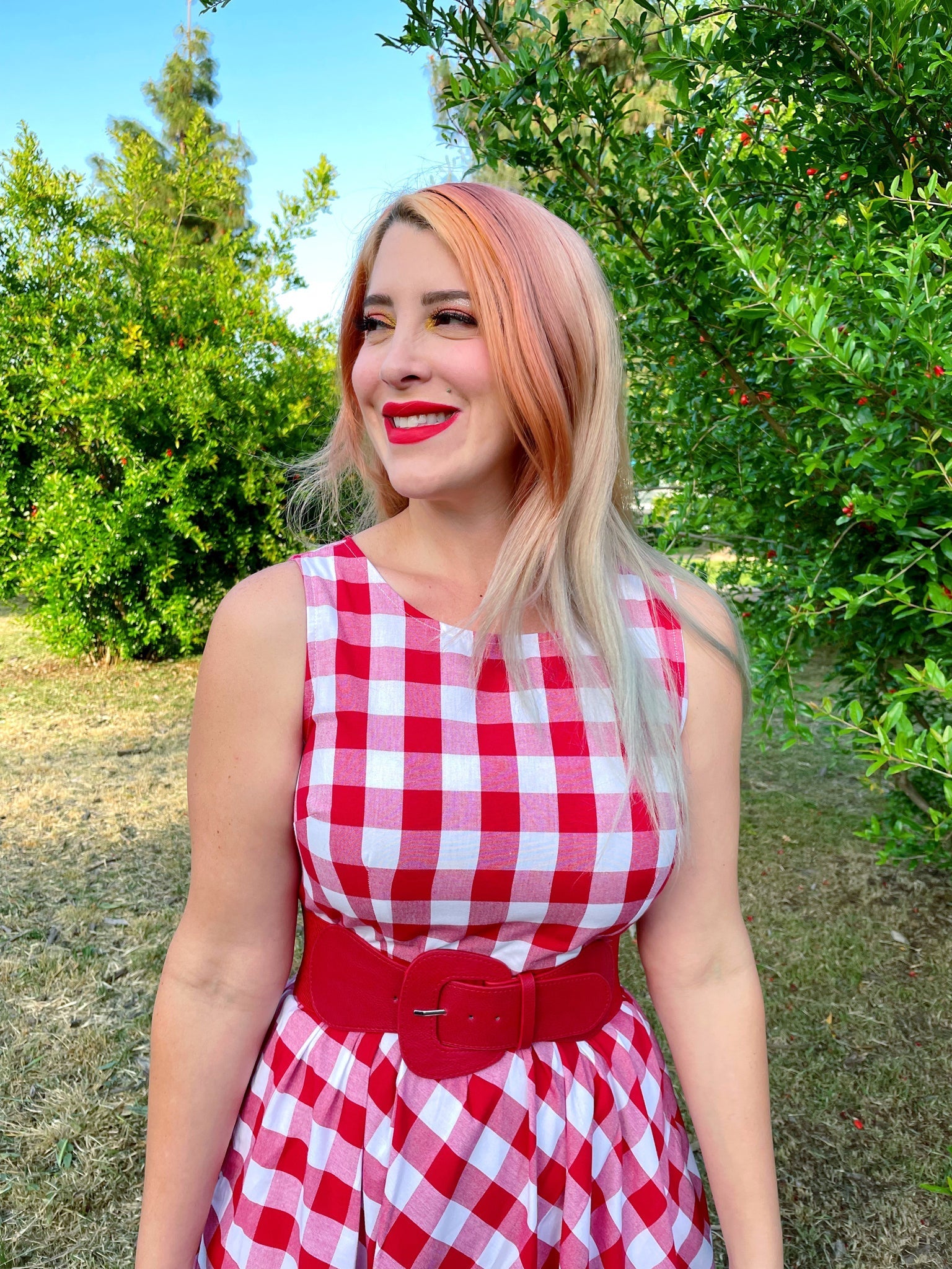 Gingham Midi Dress Retrolicious