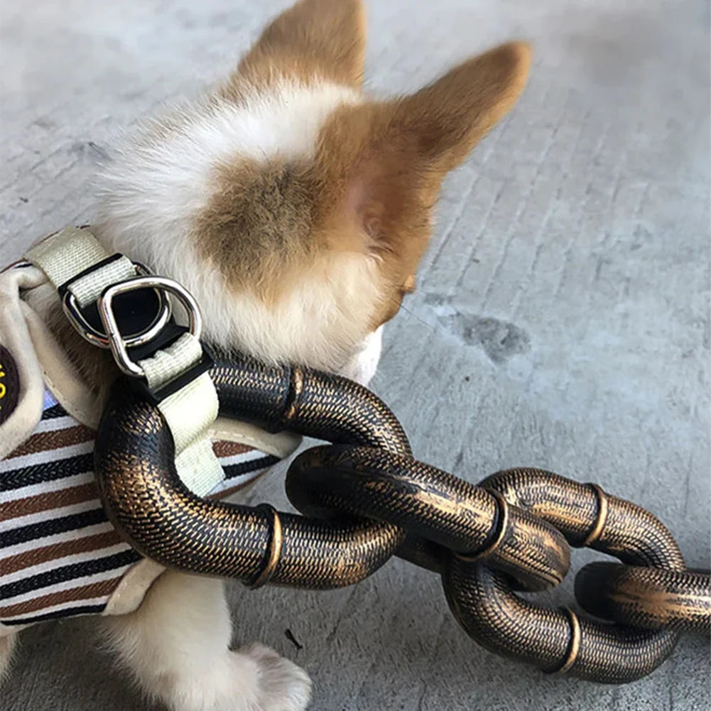 Funny Dog Chain Leash ViralGalleria.com