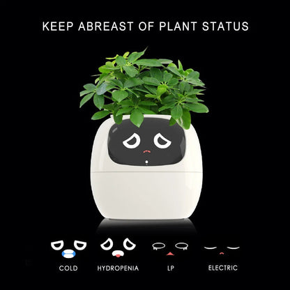 Smart Small Flower Pot ViralGalleria.com