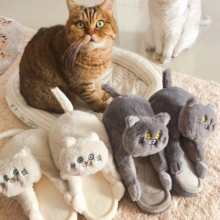 Cat Slippers ViralGalleria.com