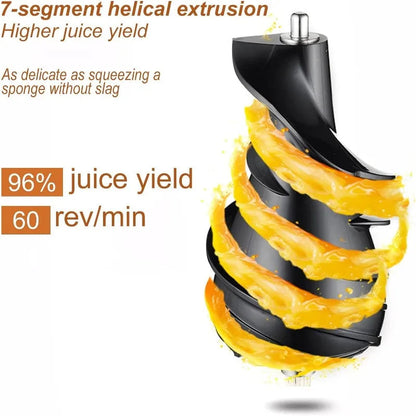 Masticating Juicer Machine ViralGalleria.com