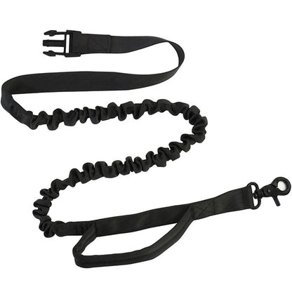 Hands Free Dog Leash ViralGalleria.com