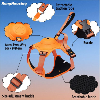 Dog Harness and Automatic Retractable Leash Kit ViralGalleria.com