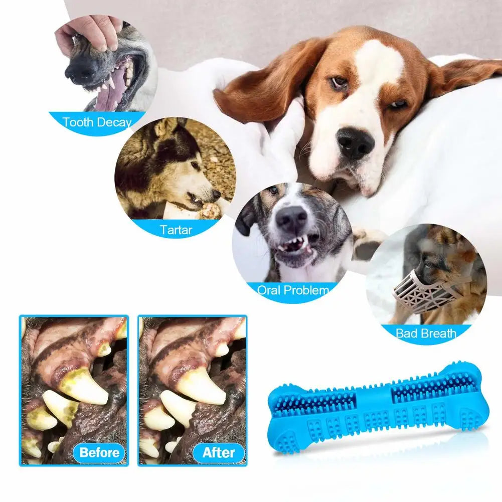 Soft Rubber Dog Toothbrush ViralGalleria.com