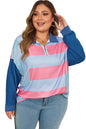 Blue Stripe Colorblock Patchwork Zip up Plus Size Pullover Garden Naked Curves