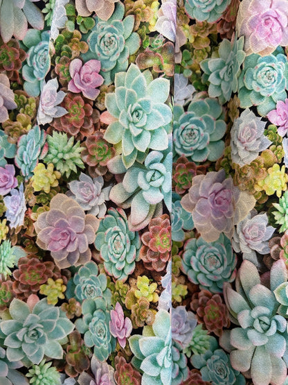 Succulent Vintage Dress - XS only, 1 left! Retrolicious