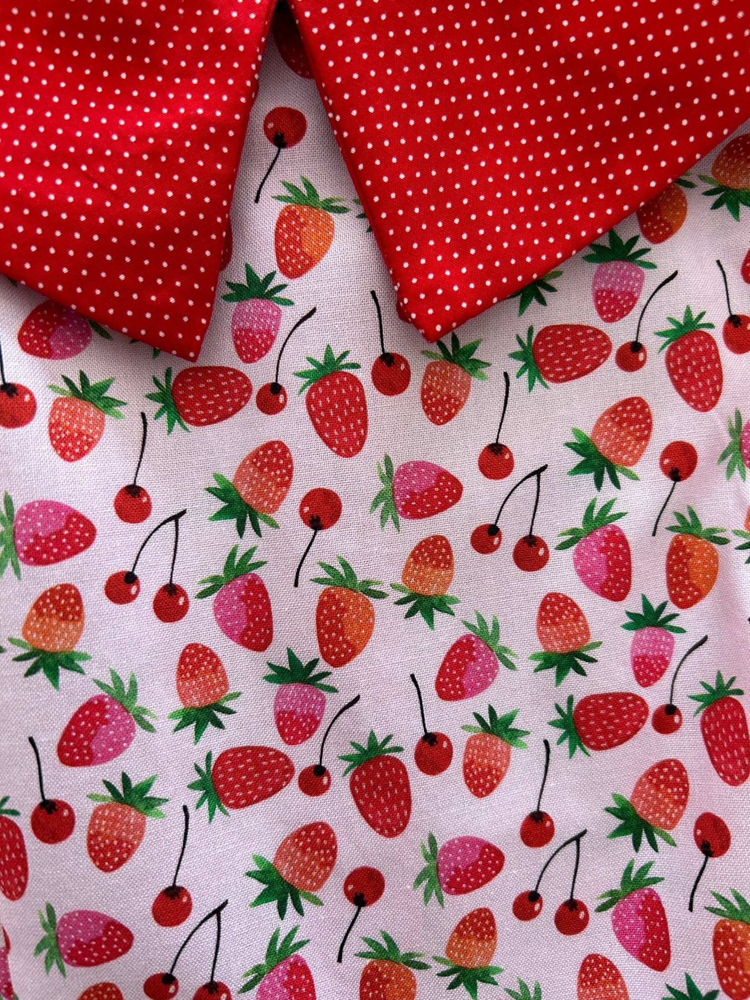 Berry Cherry Collared Dress - Medium only Retrolicious
