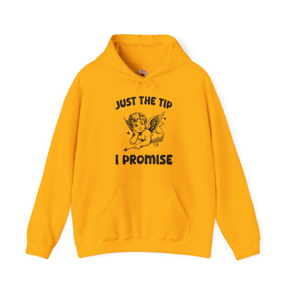 Just The Tip I Promise  V-Day Hooded Sweatshirt